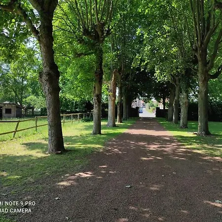 Ancien Chateau De *